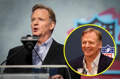 Roger Goodell Is Pushing For A Massive Schedule Change That Has NFL Fans Losing Their Minds On Social Media